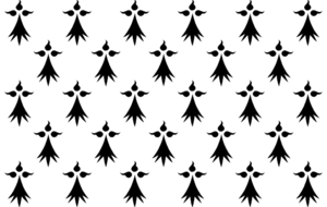 Coupe du Conseil Général