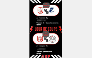 Journée coupe pour les U15 ET U17 ce samedi à Jo Bothorel à 15h00