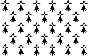 ASP seniors C / PLOUDALMEZEAU C