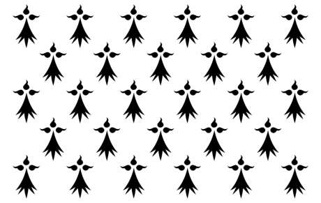 Coupe du Conseil : la Première assure !!!