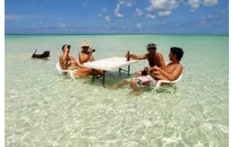 Réunion du Comité de Direction