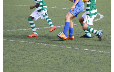 Séances &quot; DECOUVERTE &quot; 