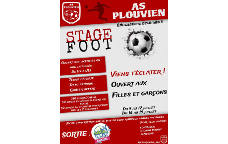 Stage d'été, inscriptions ouvertes !