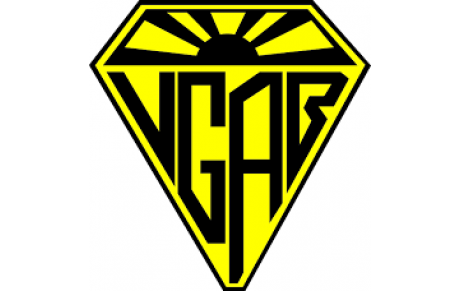 VGA BOHARS